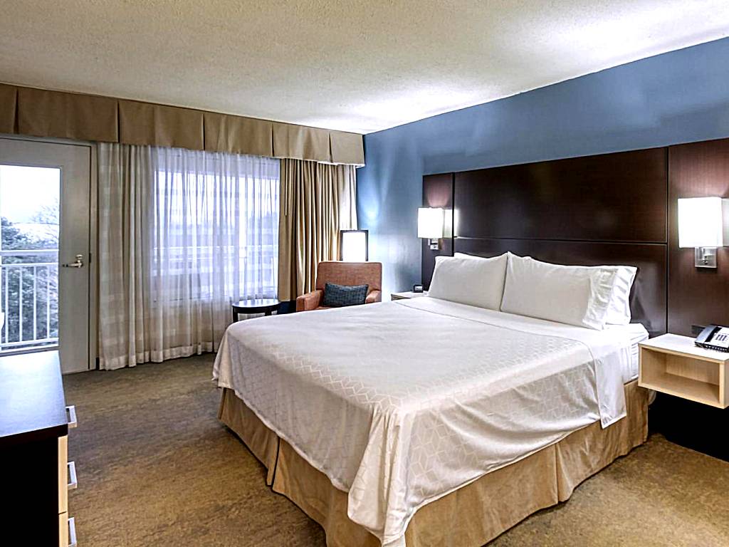 Holiday Inn & Suites Atlanta Airport North: One-Bedroom King Suite with Balcony