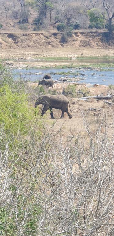 Stoep At Kruger